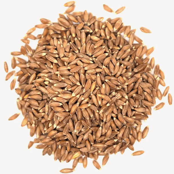 Emmer Wheat Berries